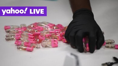 Kpods pushed by organised crime groups: UN; Jannik Sinner is first Italian to win Wimbledon singles: Singapore live news Kpods pushed by organised crime groups: UN; Jannik Sinner is first Italian to win Wimbledon singles: Singapore live news