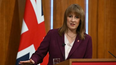 Why, in my judgement, Reeves was misleading on one specific point Why, in my judgement, Reeves was misleading on one specific point