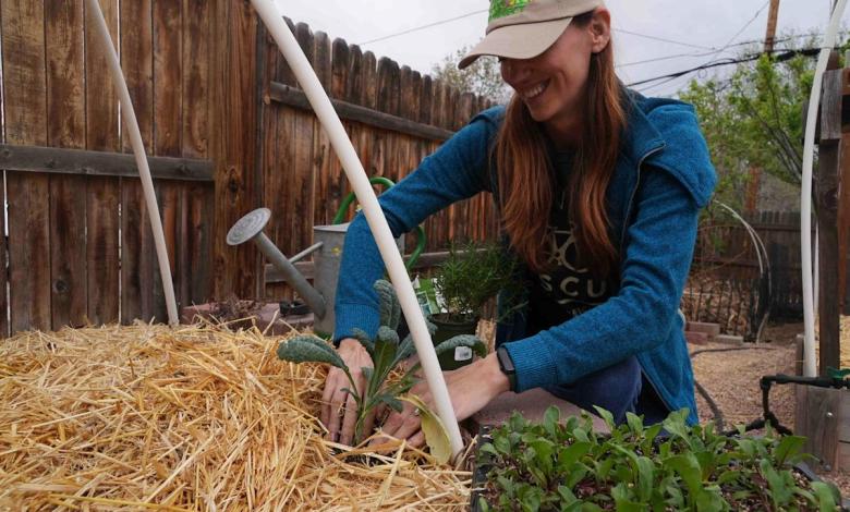 Here’s how to grow your own food with less water, even in a drought Here’s how to grow your own food with less water, even in a drought