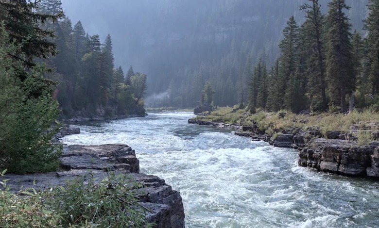 ‘I didn’t think that there was a high probability’ ‘I didn’t think that there was a high probability’