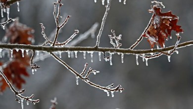 A wintry mix is coming to Wisconsin that could create slippery, slushy road conditions A wintry mix is coming to Wisconsin that could create slippery, slushy road conditions