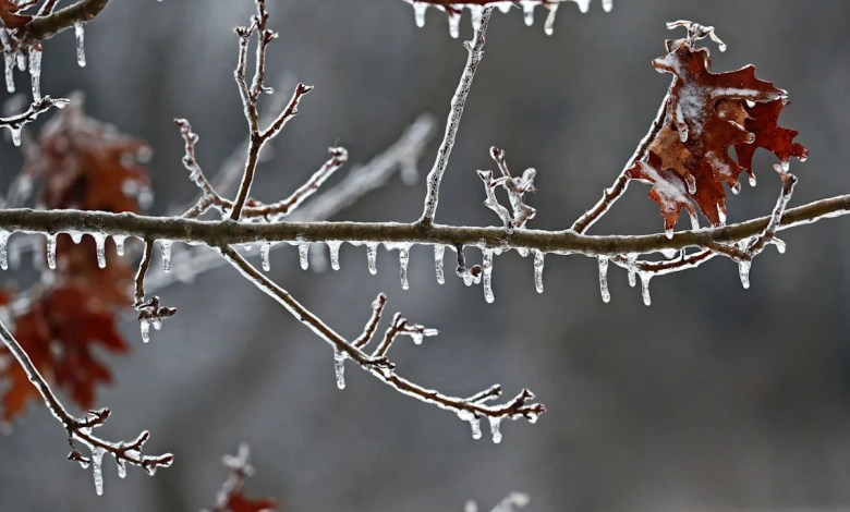 A wintry mix is coming to Wisconsin that could create slippery, slushy road conditions A wintry mix is coming to Wisconsin that could create slippery, slushy road conditions