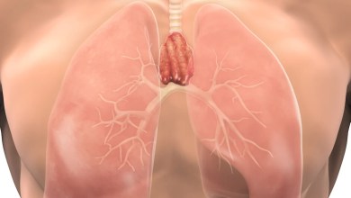 The body’s most mysterious organ may play a key role in longevity and cancer The body’s most mysterious organ may play a key role in longevity and cancer