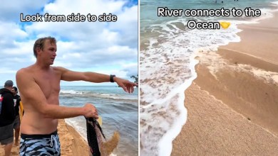 ‘This causes so much damage’ ‘This causes so much damage’