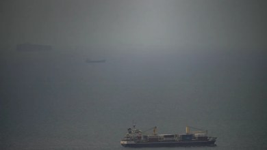 Trump orders US military to ‘shoot and kill’ Iranian small boats choking Strait of Hormuz Trump orders US military to ‘shoot and kill’ Iranian small boats choking Strait of Hormuz