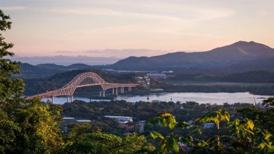 ‘We’ll just keep running out of them’ ‘We’ll just keep running out of them’