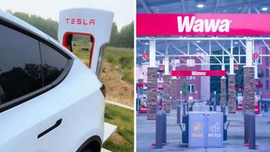 Woman Plugs In Tesla With 110 Miles of Charge at Wawa. Then It Immediately Dies, Locking Her In: ‘There Was No Air Circulating’ Woman Plugs In Tesla With 110 Miles of Charge at Wawa. Then It Immediately Dies, Locking Her In: ‘There Was No Air Circulating’