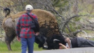 ‘I don’t feel bad, not one bit’ ‘I don’t feel bad, not one bit’