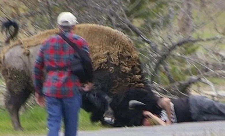 ‘I don’t feel bad, not one bit’ ‘I don’t feel bad, not one bit’