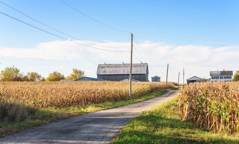 Man faces steep penalties for criminal act in rural area: ‘Paperwork must be obtained’ Man faces steep penalties for criminal act in rural area: ‘Paperwork must be obtained’