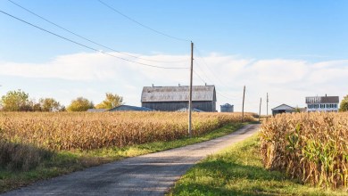 Man faces steep penalties for criminal act in rural area: ‘Paperwork must be obtained’ Man faces steep penalties for criminal act in rural area: ‘Paperwork must be obtained’