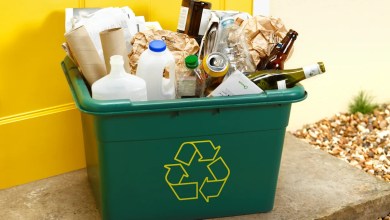 Plastic recycling rules are changing in 2026, here’s how it will affect you Plastic recycling rules are changing in 2026, here’s how it will affect you