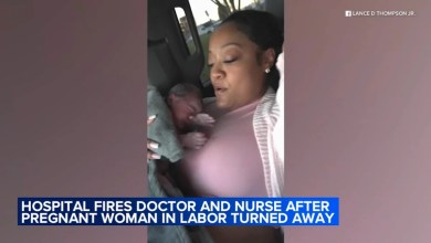 Staff who attended to Chicago mother discharged before giving birth in car fired: hospital Staff who attended to Chicago mother discharged before giving birth in car fired: hospital