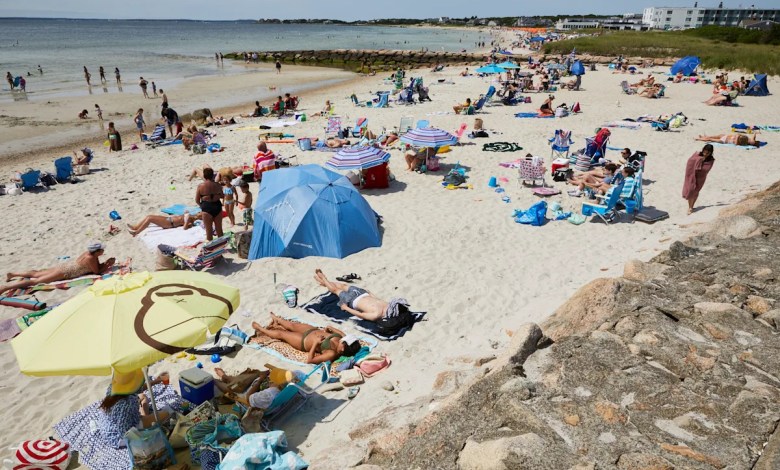 Flesh-eating bacteria found in swimmer who was at Cape Cod beach Flesh-eating bacteria found in swimmer who was at Cape Cod beach