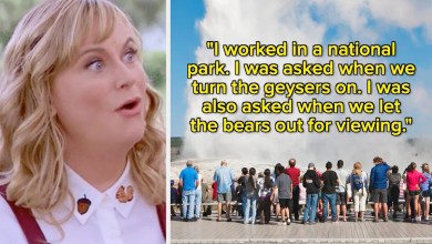 31 People Who — Bless Them — Were Way, Way, Way, Way, Way, Way Too Confused For Their Own Good 31 People Who — Bless Them — Were Way, Way, Way, Way, Way, Way Too Confused For Their Own Good