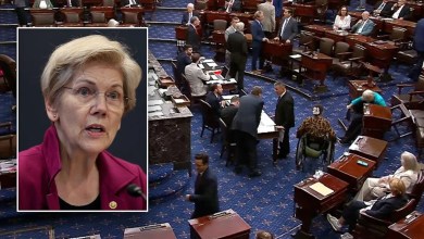 Sen. Elizabeth Warren falls on Senate floor as Republicans offer bipartisan assistance during Israel vote Sen. Elizabeth Warren falls on Senate floor as Republicans offer bipartisan assistance during Israel vote