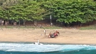 Pilot says Hawaii tour helicopter vibrated and spun before crash killed 3 Pilot says Hawaii tour helicopter vibrated and spun before crash killed 3