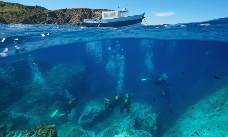 ‘Their population is increasing year on year’ ‘Their population is increasing year on year’