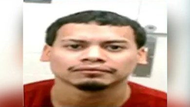 ICE says it arrested pedophiles, sexual deviants and kidnappers over the weekend in latest enforcement sweep ICE says it arrested pedophiles, sexual deviants and kidnappers over the weekend in latest enforcement sweep
