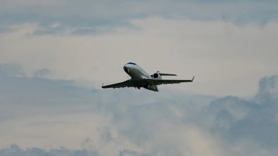 Prominent Houston Attorney Tara Arnold Identified As Victim In Maine Plane Crash Prominent Houston Attorney Tara Arnold Identified As Victim In Maine Plane Crash