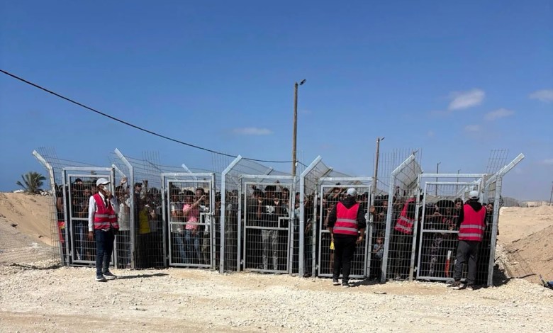 US contractors say their colleagues are firing live ammo as Palestinians seek food in Gaza US contractors say their colleagues are firing live ammo as Palestinians seek food in Gaza