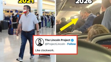 Well, It Appears Ted Cruz Is At It Again, Traveling To A Beach Town As Texas Braces For A Major Winter Storm Well, It Appears Ted Cruz Is At It Again, Traveling To A Beach Town As Texas Braces For A Major Winter Storm