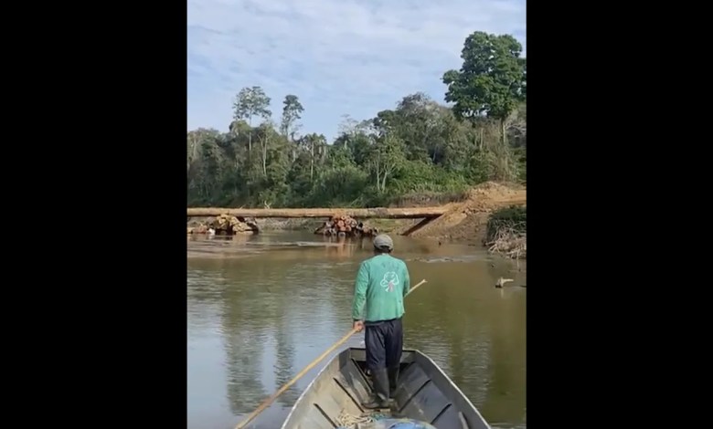 Isolated Amazon tribe seen near logging bridge site, alarming rights group Isolated Amazon tribe seen near logging bridge site, alarming rights group