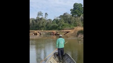 Isolated Amazon tribe seen near logging bridge site, alarming rights group Isolated Amazon tribe seen near logging bridge site, alarming rights group