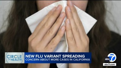 New flu variant hits SoCal, raises concerns among public health experts New flu variant hits SoCal, raises concerns among public health experts