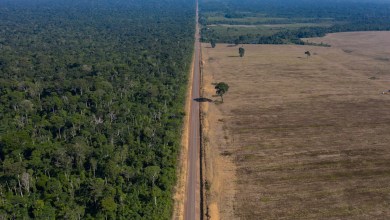 What Brazil’s soy moratorium fight means — and what happens next What Brazil’s soy moratorium fight means — and what happens next