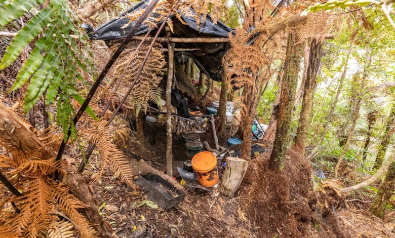 New Zealand launches major inquiry into case of father who hid his children in a forest for years New Zealand launches major inquiry into case of father who hid his children in a forest for years