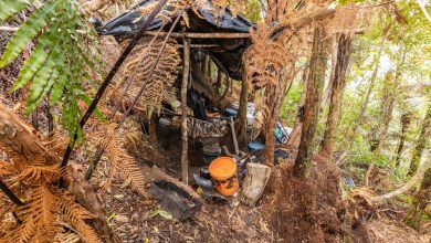New Zealand launches major inquiry into case of father who hid his children in a forest for years New Zealand launches major inquiry into case of father who hid his children in a forest for years