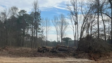 Caddo Lake water motion dies in Commission session with no discussion Caddo Lake water motion dies in Commission session with no discussion