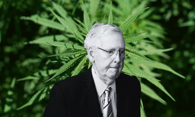 Why Mitch McConnell helped kill the hemp buzz Why Mitch McConnell helped kill the hemp buzz