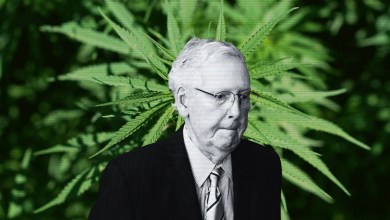 Why Mitch McConnell helped kill the hemp buzz Why Mitch McConnell helped kill the hemp buzz