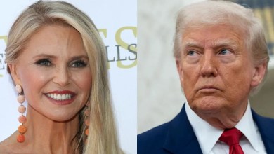 Christie Brinkley Credits Trump For ‘Doing A Good Job Of Destroying The Country’ Christie Brinkley Credits Trump For ‘Doing A Good Job Of Destroying The Country’