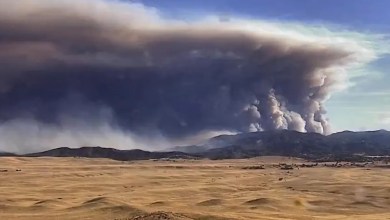 Winds Fuel ‘Erratic’ California Gifford Fire Causing Evacuations Winds Fuel ‘Erratic’ California Gifford Fire Causing Evacuations