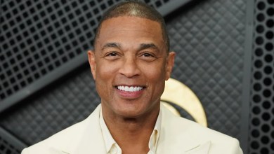 Don Lemon says a dozen agents were sent to arrest him even though he offered to turn himself in Don Lemon says a dozen agents were sent to arrest him even though he offered to turn himself in