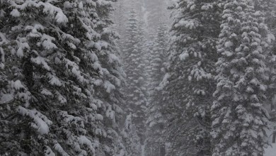 Skiers in deadly Tahoe avalanche appear to have taken route rated most dangerous option Skiers in deadly Tahoe avalanche appear to have taken route rated most dangerous option