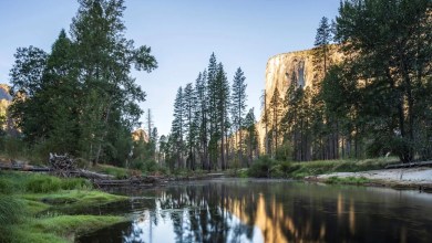 ‘Geologist said they’d never seen anything like this’ ‘Geologist said they’d never seen anything like this’