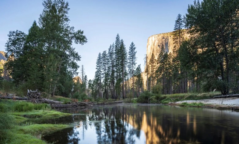 ‘Geologist said they’d never seen anything like this’ ‘Geologist said they’d never seen anything like this’