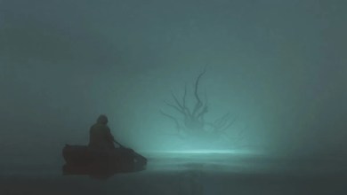 For the First Time Ever, the Colossal Squid Might Have Shown Its Secret Face For the First Time Ever, the Colossal Squid Might Have Shown Its Secret Face