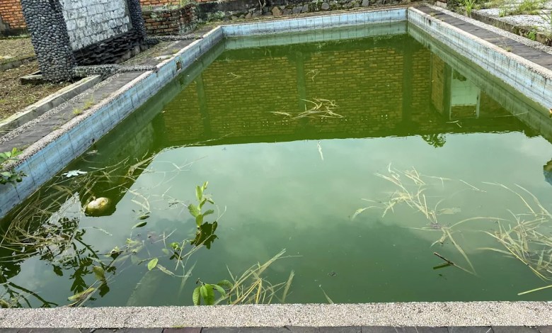 ‘Last summer we couldn’t go outside’ ‘Last summer we couldn’t go outside’