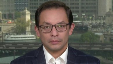 Chicago alderman says police are ‘handcuffed’ from stopping teen takeovers under Mayor Brandon Johnson Chicago alderman says police are ‘handcuffed’ from stopping teen takeovers under Mayor Brandon Johnson