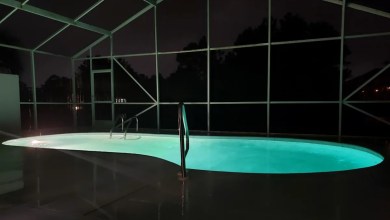 ‘I would never believe this’ ‘I would never believe this’