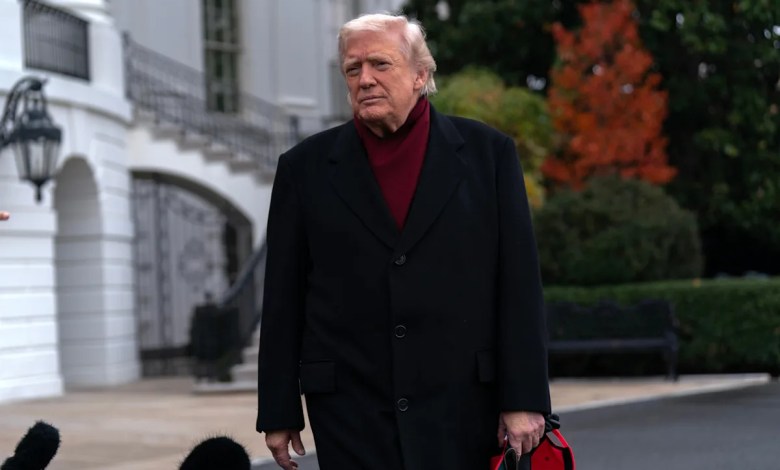 Trump pledge to ‘immediately’ end protections for Minnesota Somalis sparks fear and legal questions Trump pledge to ‘immediately’ end protections for Minnesota Somalis sparks fear and legal questions