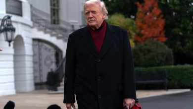 Trump pledge to ‘immediately’ end protections for Minnesota Somalis sparks fear and legal questions Trump pledge to ‘immediately’ end protections for Minnesota Somalis sparks fear and legal questions