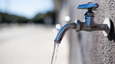 ‘The extreme volatility … really surprised me’ ‘The extreme volatility … really surprised me’