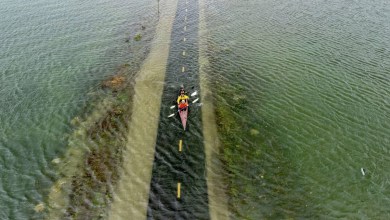 Bay Area flooding closes roads, strands motorists Bay Area flooding closes roads, strands motorists