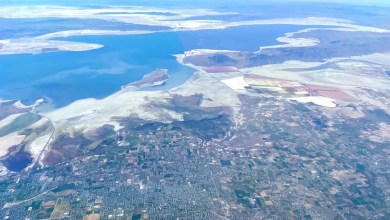 ‘Everything that we care about is at stake here’ ‘Everything that we care about is at stake here’